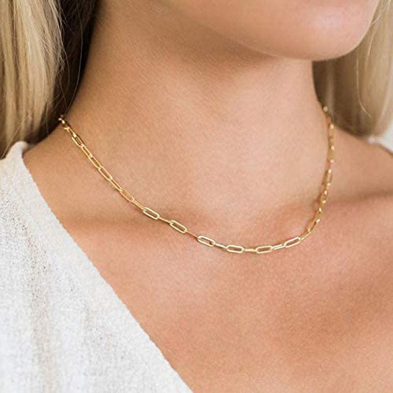 Duo Chain Stacked Necklace