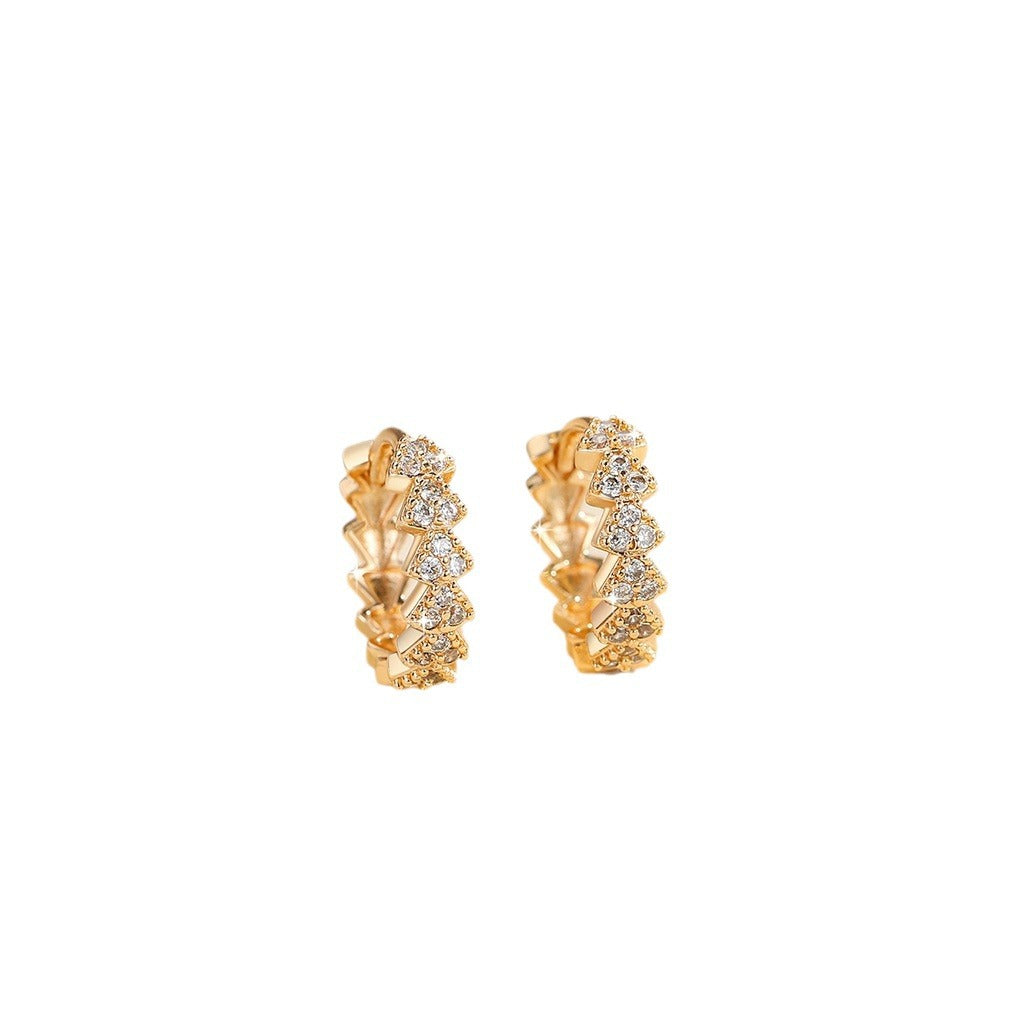 Inlaid Zircon Earrings